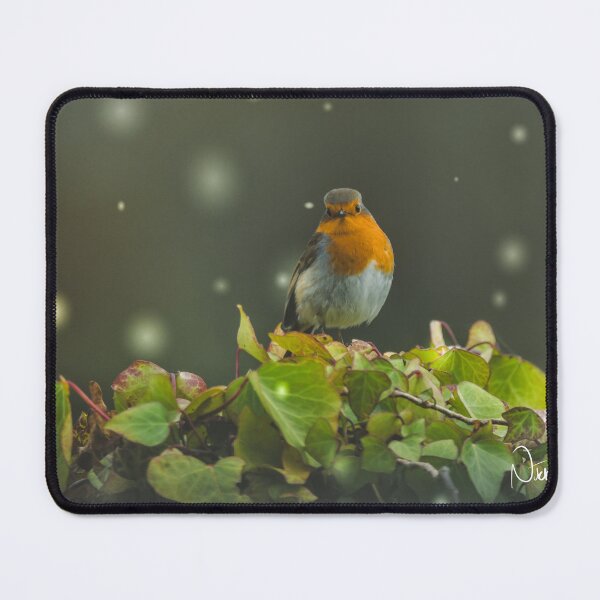 Item preview, A welcome visitor designed and sold by NikkiStixG.
