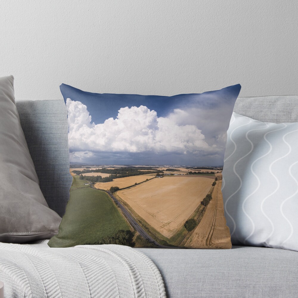 Item preview, Throw Pillow designed and sold by ShinyPhoto.