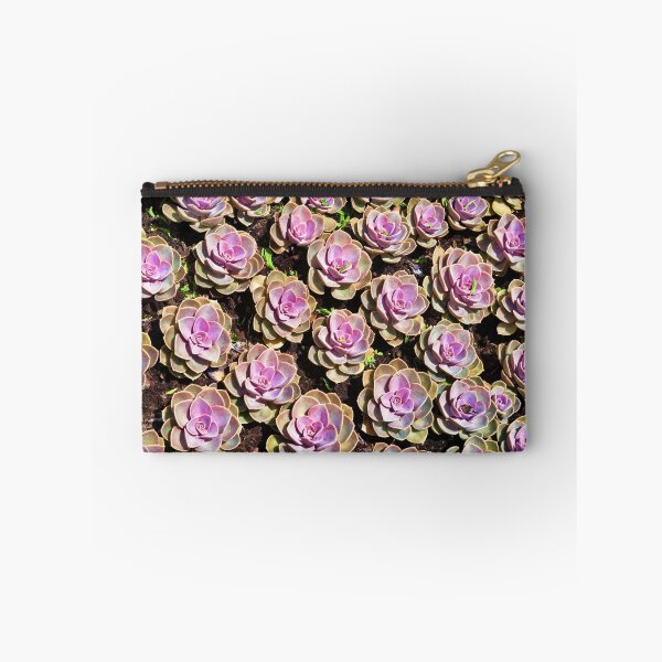 Item preview, Hens and chicks and hens and  designed and sold by PhotosByHealy.