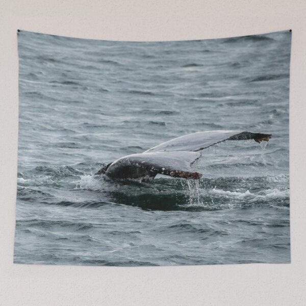 Item preview, Whale Tail designed and sold by TinyDinoDesigns.