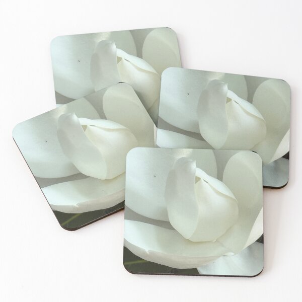 Item preview, Magnolia Flower designed and sold by katy hawk.