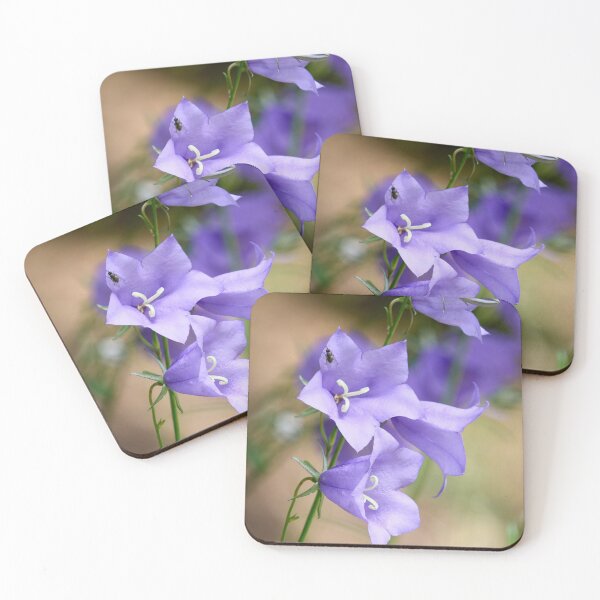 Item preview, With the fly. Peach-leaved Bellflower designed and sold by Jouko Lehto Photography.