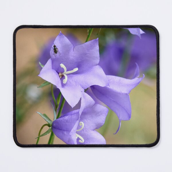 Item preview, With the fly. Peach-leaved Bellflower designed and sold by Jouko Lehto Photography.