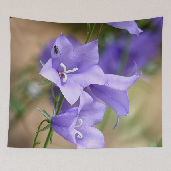 Item preview, With the fly. Peach-leaved Bellflower designed and sold by Jouko Lehto Photography.