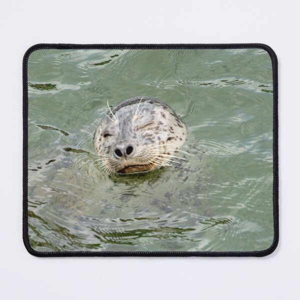 Item preview, Winking Seal designed and sold by TinyDinoDesigns.