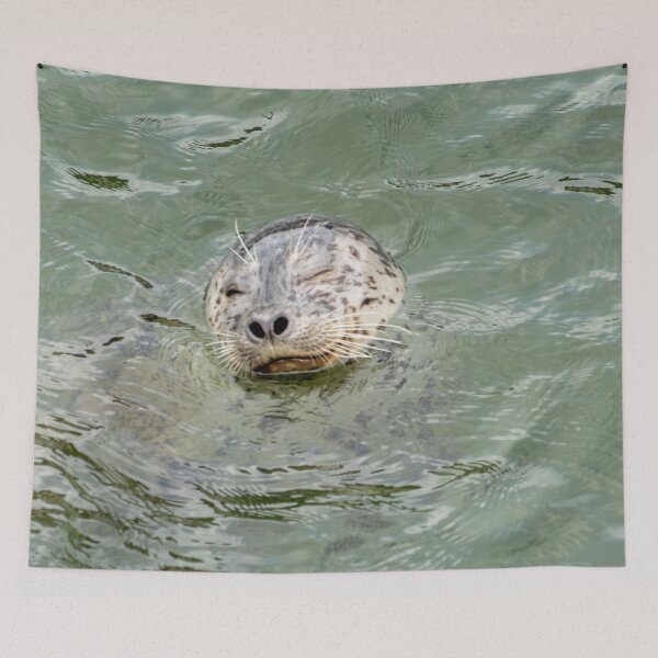 Item preview, Winking Seal designed and sold by TinyDinoDesigns.