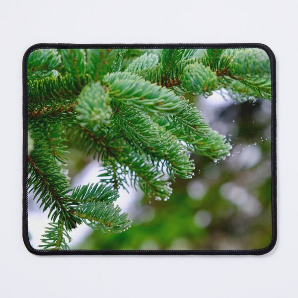 Item preview, White Fir Branches designed and sold by katy hawk.