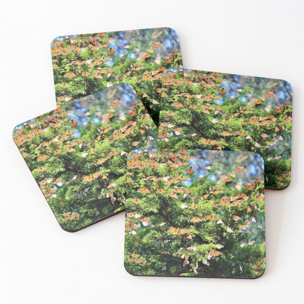 Item preview, buterfly bush designed and sold by Coastwind Photography.
