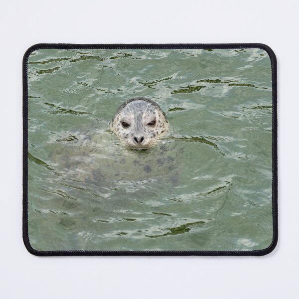 Item preview, Seal Staring into the Void designed and sold by TinyDinoDesigns.