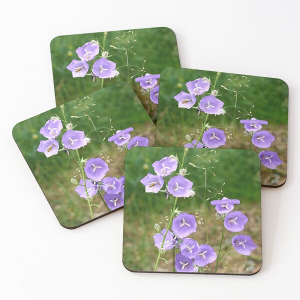 Item preview, Where the hoverfly lands. Peach-leaved Bellflower designed and sold by Jouko Lehto Photography.