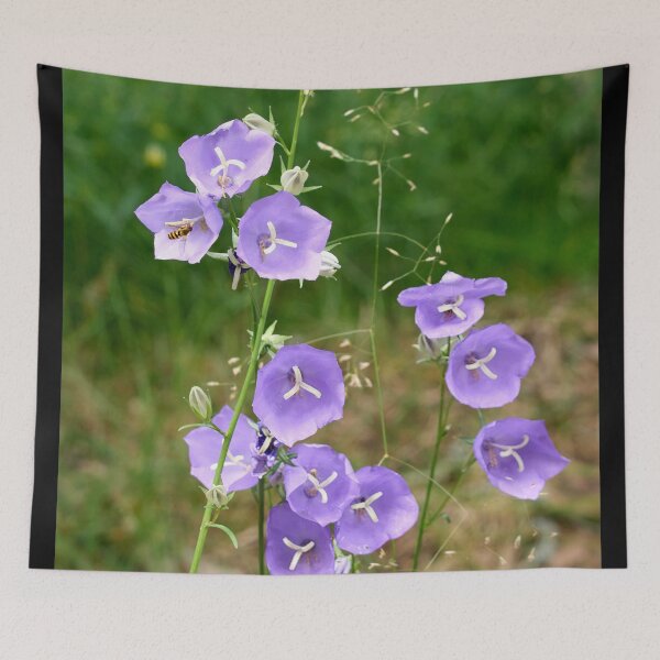 Item preview, Where the hoverfly lands. Peach-leaved Bellflower designed and sold by Jouko Lehto Photography.