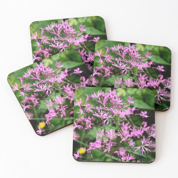 Item preview, When the cuckoo sings. Ragged Robin designed and sold by Jouko Lehto Photography.