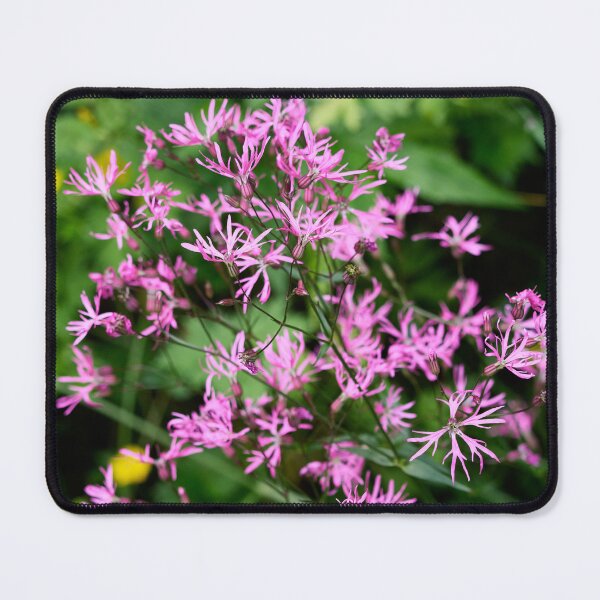 Item preview, When the cuckoo sings. Ragged Robin designed and sold by Jouko Lehto Photography.