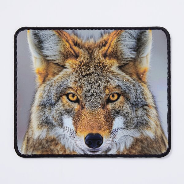 Item preview, Coyote Masquerading As A Fox Fantasy Art Photo designed and sold by DEC02.