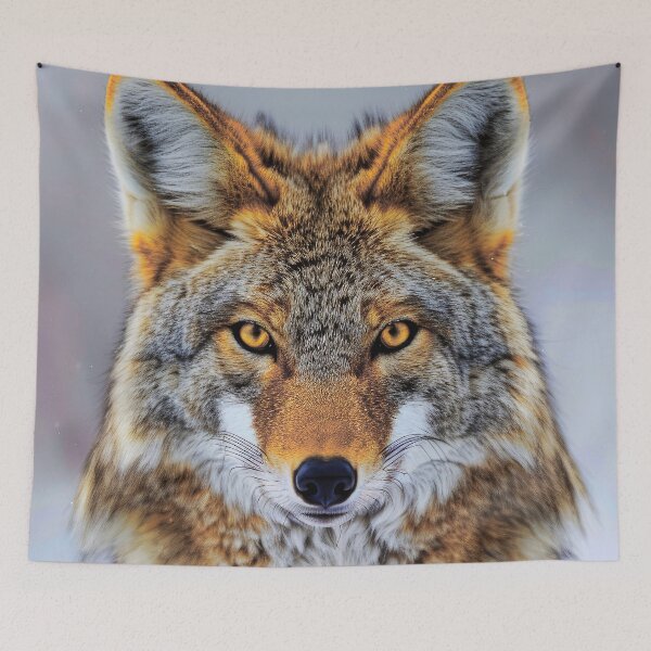 Item preview, Coyote Masquerading As A Fox Fantasy Art Photo designed and sold by DEC02.