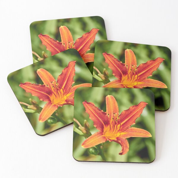 Item preview, Daylily designed and sold by Eidetic Photos.