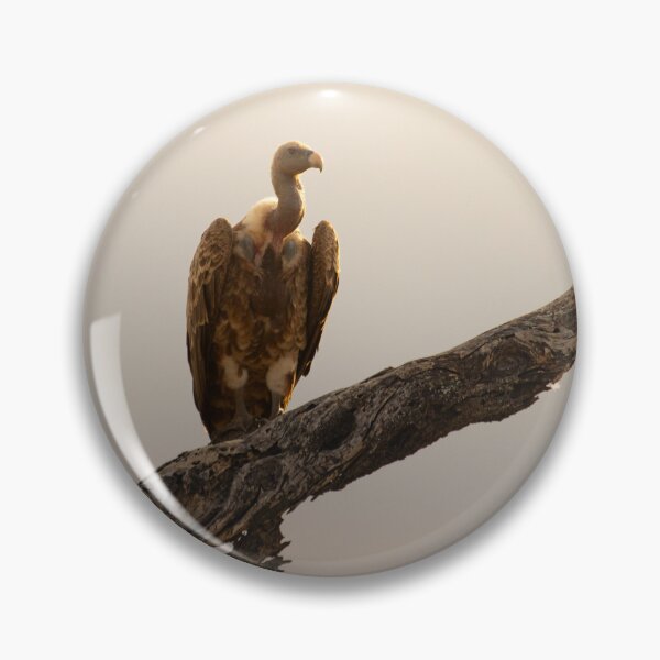 Item preview, Vulture in a tree designed and sold by Angus1029.