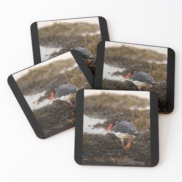 Item preview, Oystercatcher on the beach designed and sold by Angus1029.