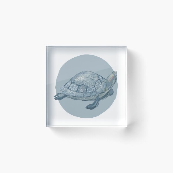 Item preview, Turtle Blue designed and sold by coleyart.