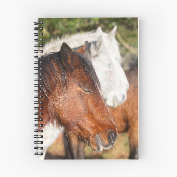 Item preview, The three horses designed and sold by Angus1029.