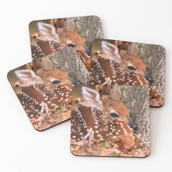 Item preview, just born designed and sold by Coastwind Photography.