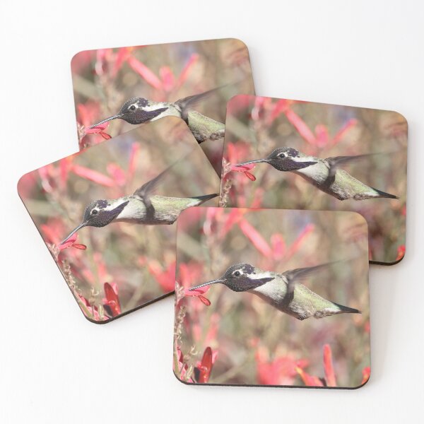 Item preview, Costa's hummingbird in flight designed and sold by WolfRaven Creations.
