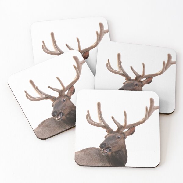 Item preview, Elk's got something to say designed and sold by WolfRaven Creations.