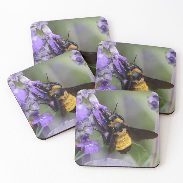 Item preview, Sonoran bumblebee feeding on purple flowers designed and sold by WolfRaven Creations.
