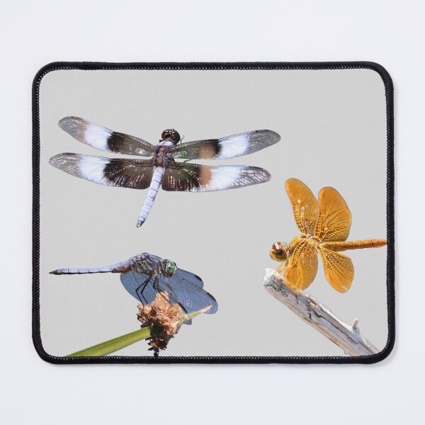 Item preview, Dragonfly photography collage designed and sold by WolfRaven Creations.