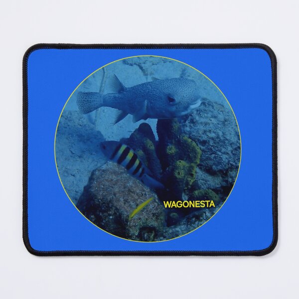 Item preview, Underwater - Pufferfish in Bonaire by Wagonesta designed and sold by Wagonesta.