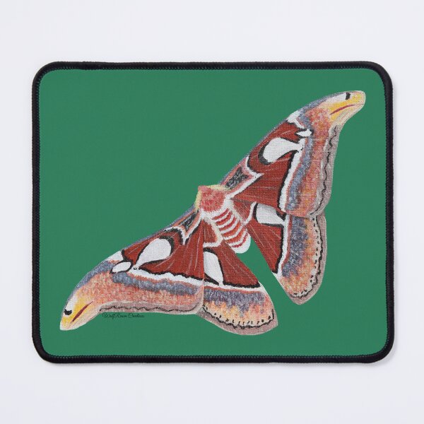 Item preview, Atlas moth acrylic painting designed and sold by WolfRaven Creations.