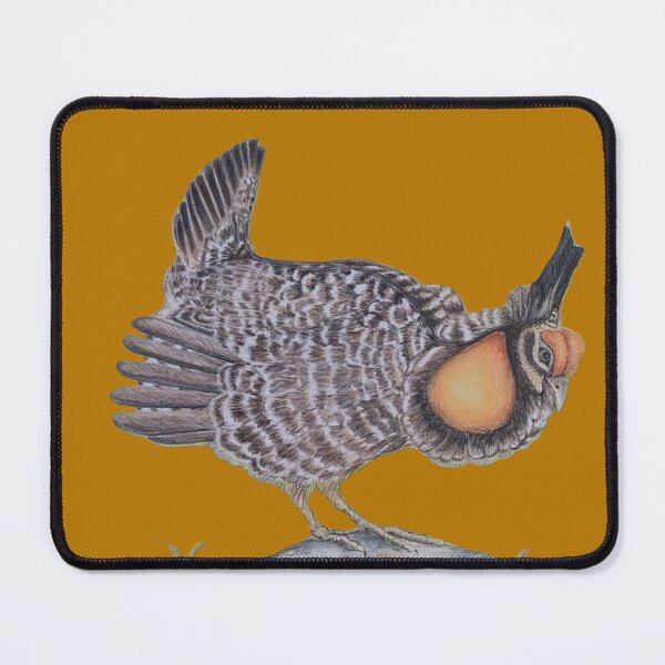 Item preview, Greater Prairie Chicken in colored pencil designed and sold by BirdsandMoreArt.