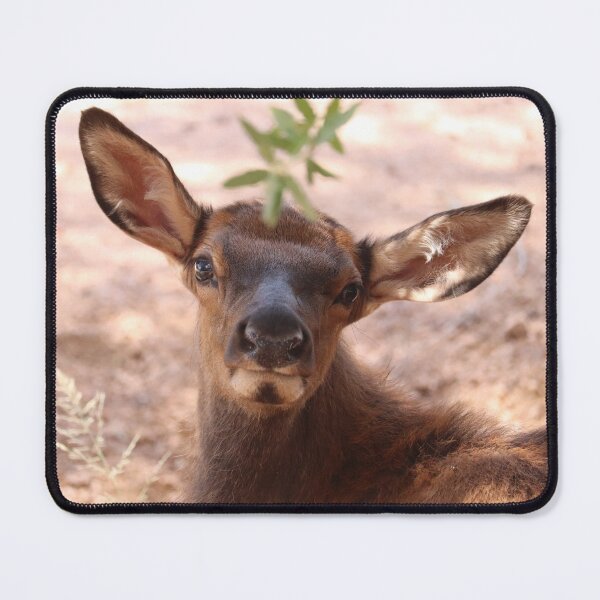 Item preview, Baby elk portrait designed and sold by WolfRaven Creations.