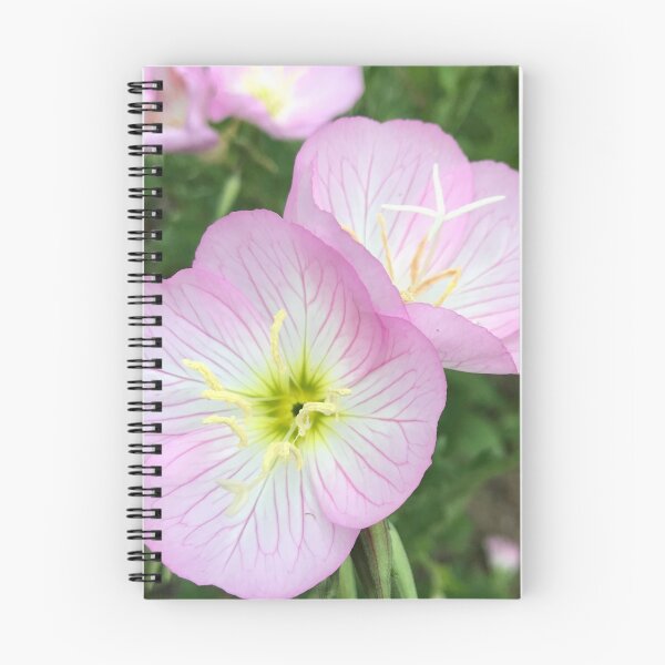Item preview, Evening Primrose designed and sold by Dodie Mccandless.
