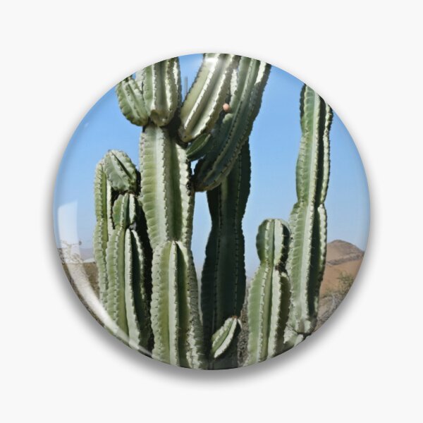 Item preview, A towering cactus rises from the sand designed and sold by NZThrillVibes.