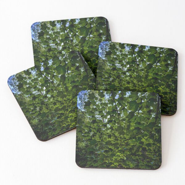 Item preview, Deep Green Canopy Over Hidden Waters designed and sold by Dynahgrl.