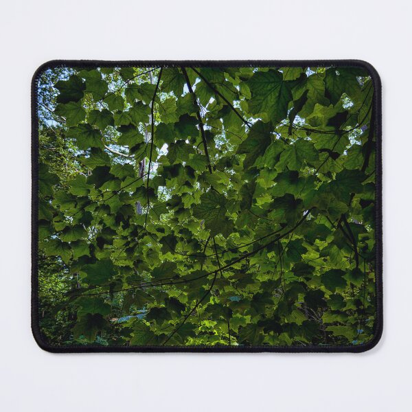Item preview, Deep Green Canopy Over Hidden Waters designed and sold by Dynahgrl.