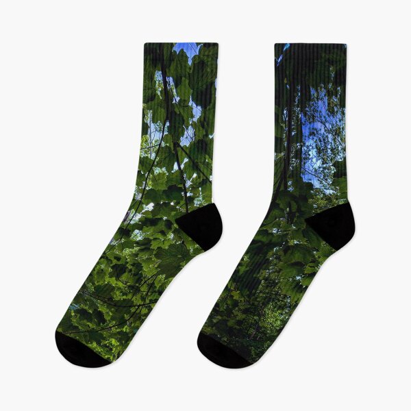 Item preview, Deep Green Canopy Over Hidden Waters designed and sold by Dynahgrl.