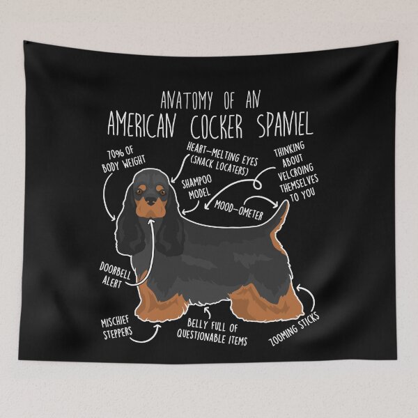 Item preview, Black and Tan American Cocker Spaniel Dog Anatomy designed and sold by Clara Hollins.