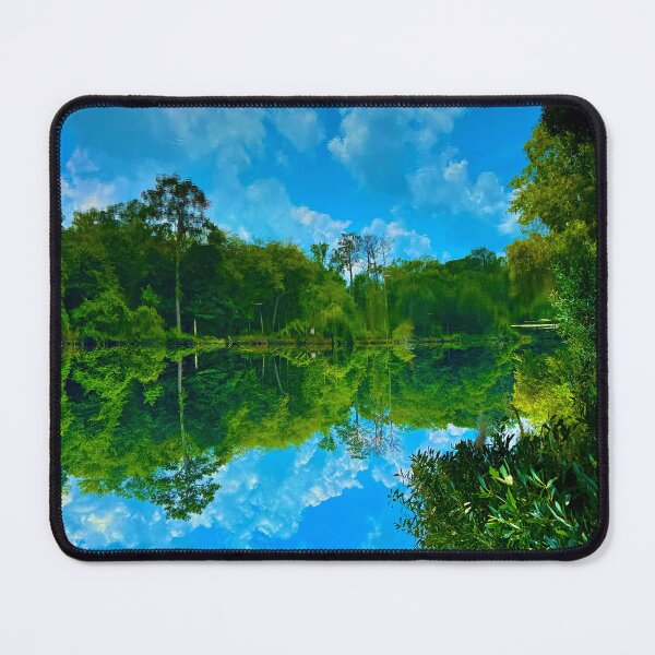 Item preview, Topsy Turvy Backwaters of South Carolina designed and sold by Barbara Brown.