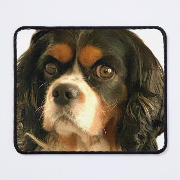 Item preview, Cute King Charles designed and sold by Kandoart.