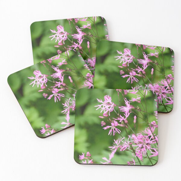 Item preview, Pink of the day. Ragged Robin designed and sold by Jouko Lehto Photography.