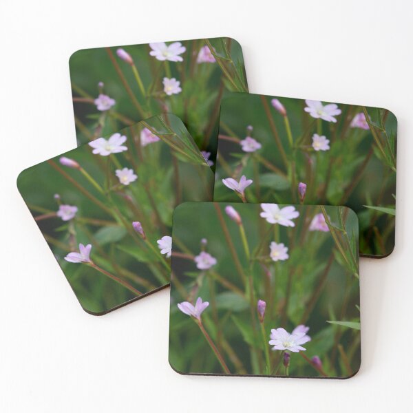 Item preview, The tiny one. Broad-leaved Willowherb designed and sold by Jouko Lehto Photography.