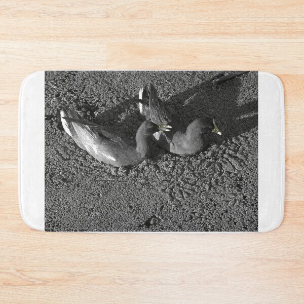 Item preview, Swimming Moorhens on Lake Toho Black and White designed and sold by MercerImages.
