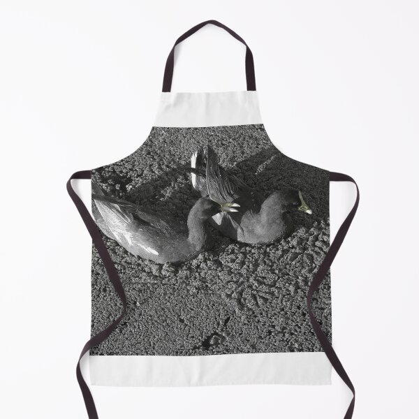 Item preview, Swimming Moorhens on Lake Toho Black and White designed and sold by MercerImages.