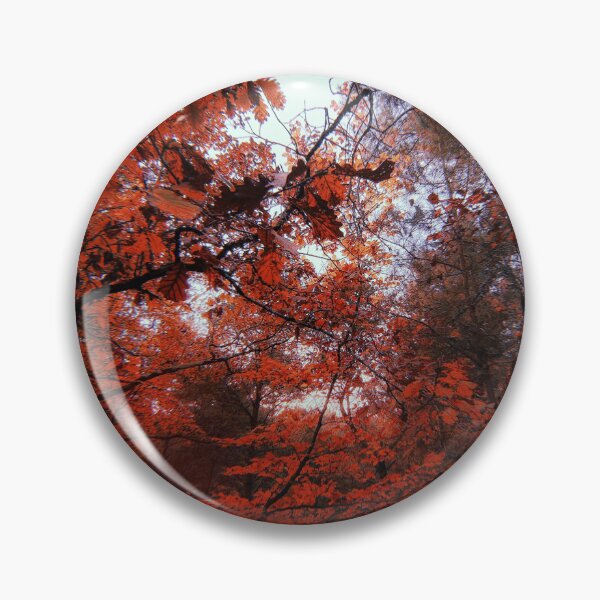 Artikelvorschau, Crimson Forest – Dramatische Naturfotografie in Rottönen entworfen und verkauft von Lili.jpeg.