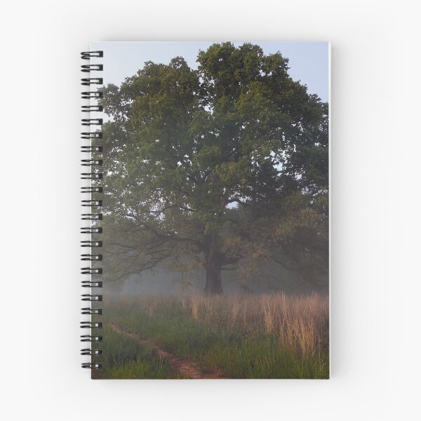 Item preview, The Granddaddy Tree designed and sold by StampCity.