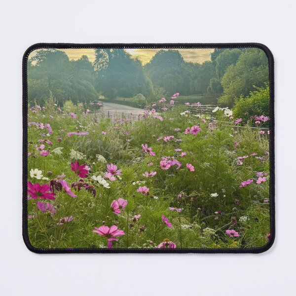 Item preview, Summer Sunrise in St James’s Park, London designed and sold by The Running London Photographer.