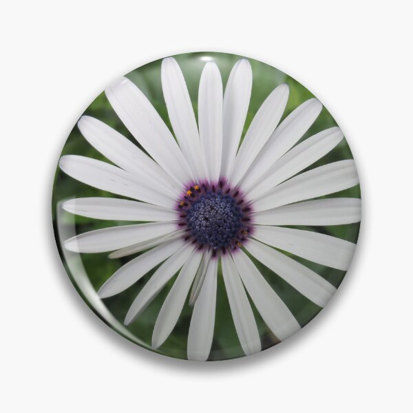 Item preview, White Daisy Soloist designed and sold by Yolanda Caporn Art.