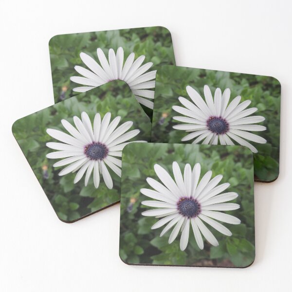 Item preview, White Daisy Soloist designed and sold by Yolanda Caporn Art.